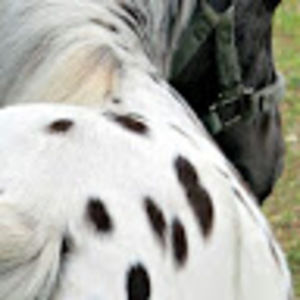 Meet your Posher, Valerie